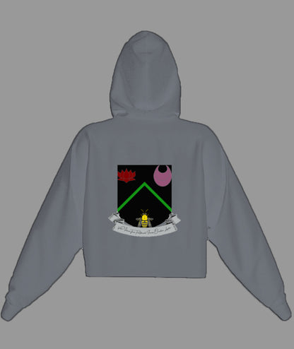 Vitriol Scroll Shield Fleece Cropped Hoodie